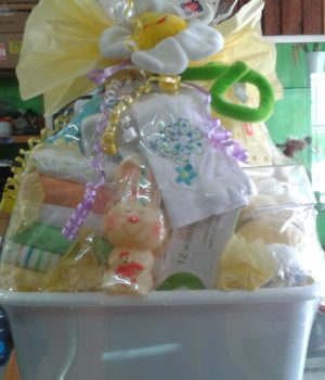 Baby Basket