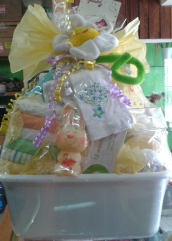 Baby Basket