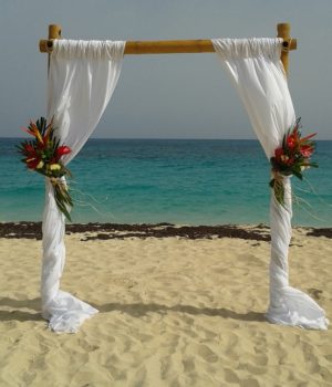 Tropical flowers beach Canopy