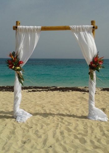 Tropical flowers beach Canopy