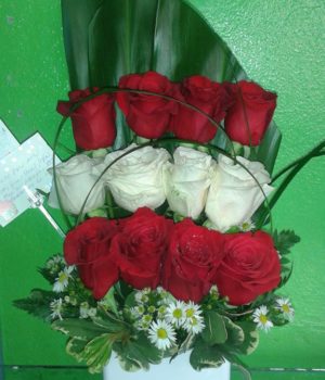 just because white and red roses modern design