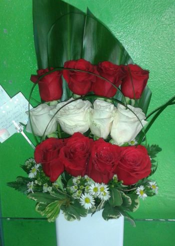 just because white and red roses modern design