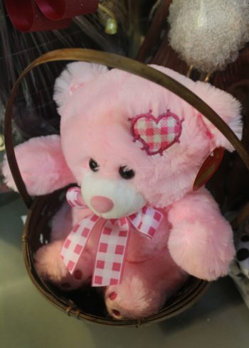 Teddy pink