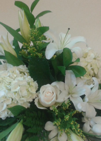 all-white-hydrangeas-oriental-lillies-and-dendrobium-centerpiece-sm