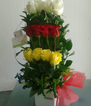 Birthday Exotic 12 White, Yellow and Red Roses