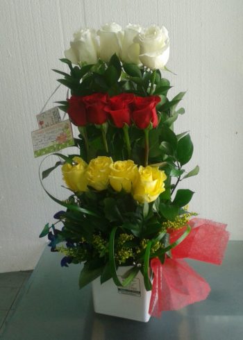Birthday Exotic 12 White, Yellow and Red Roses